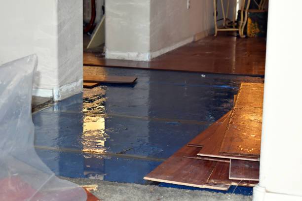 Professional Water Damage Restoration technician working in McDermott, OH